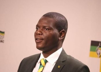 South Africa’s Foreign Affairs Minister Addresses Diplomatic Ties Amid Chidinma Controversy