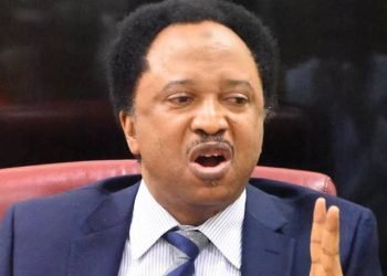 Protest in North an attempt to overthrow Tinubu gov’t –Shehu Sani