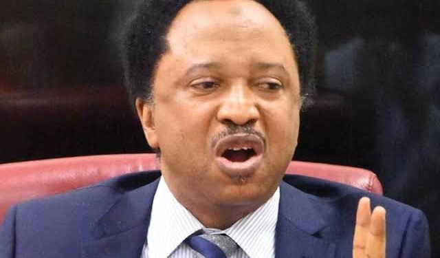Protest in North an attempt to overthrow Tinubu gov’t –Shehu Sani