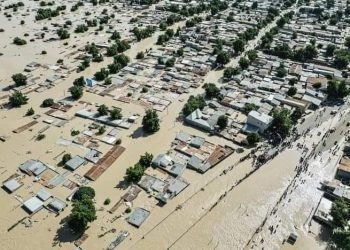 Dangote Foundation Pledges N1.5 Billion to Support Borno Flood Victims