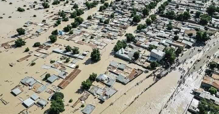 Dangote Foundation Pledges N1.5 Billion to Support Borno Flood Victims