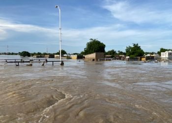 We’ll upgrade Maiduguri dam to prevent flooding – FG