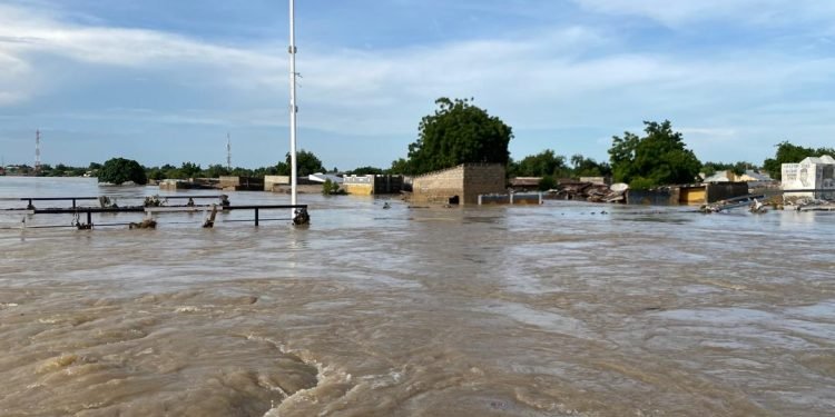 We’ll upgrade Maiduguri dam to prevent flooding – FG