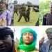 Full list of bandits leaders killed by military