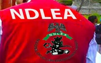 NDLEA declares 4 drug cartel wanted over cocaine shipments to Saudi Arabia, Qatar, others