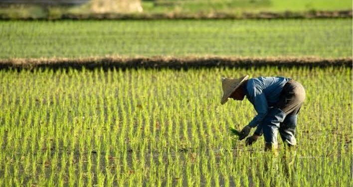 FG to empower 500,000 farmers