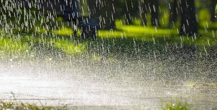 NiMet predicts delayed onset of rainfall in 8 northern states
