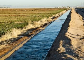 Jigawa to construct 10 dams for dry-season farming