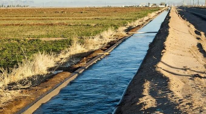 Jigawa to construct 10 dams for dry-season farming