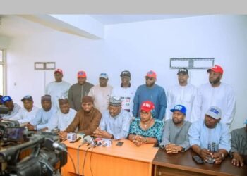 Kaduna LG chairmen pass vote of confidence on President Tinubu, Governor Uba Sani