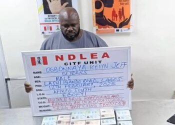 NDLEA arrest wanted drug baron in Lagos after 17 years manhunt, N1.4b worth drugs seized