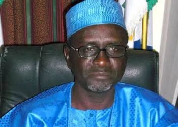 Atiku and El-Rufai coalition can’t remove Tinubu – Shekarau
